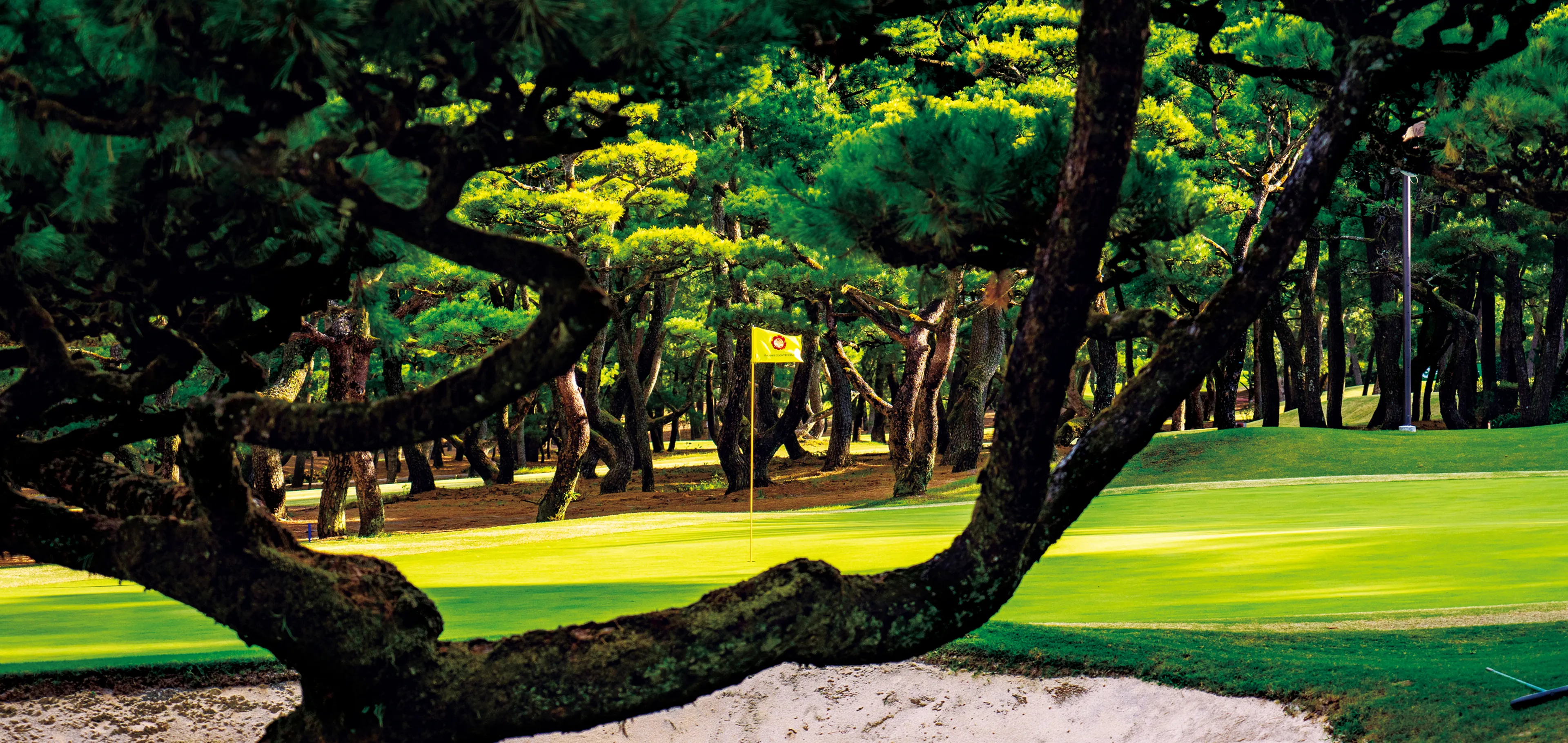 フェニックスカントリークラブ会員メニュー