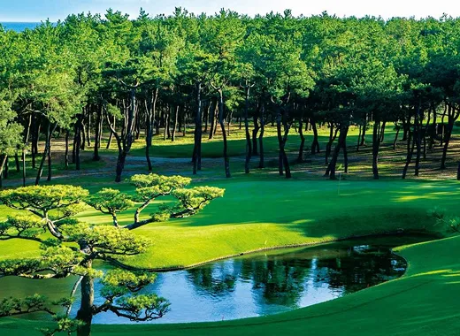 前往高爾夫球場的交通