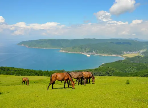 宮崎巡遊活動