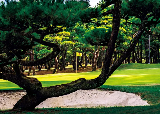 PHOENIX COUNTRY CLUB