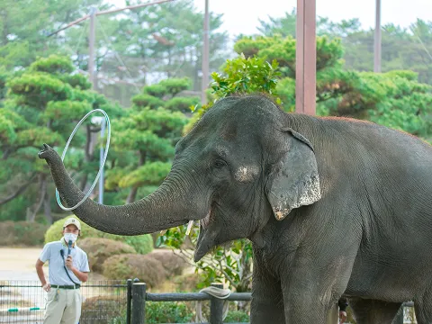 宮崎市鳳凰自然動物園